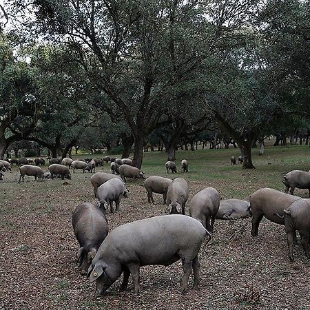 Hospederia Reina De Los Angeles Aracena Esterno foto
