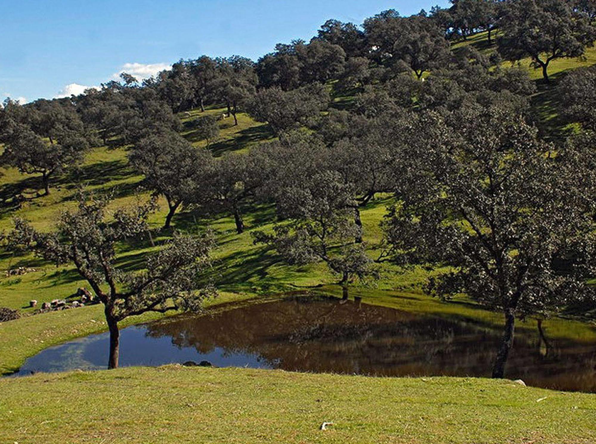 Hospederia Reina De Los Angeles Aracena Esterno foto